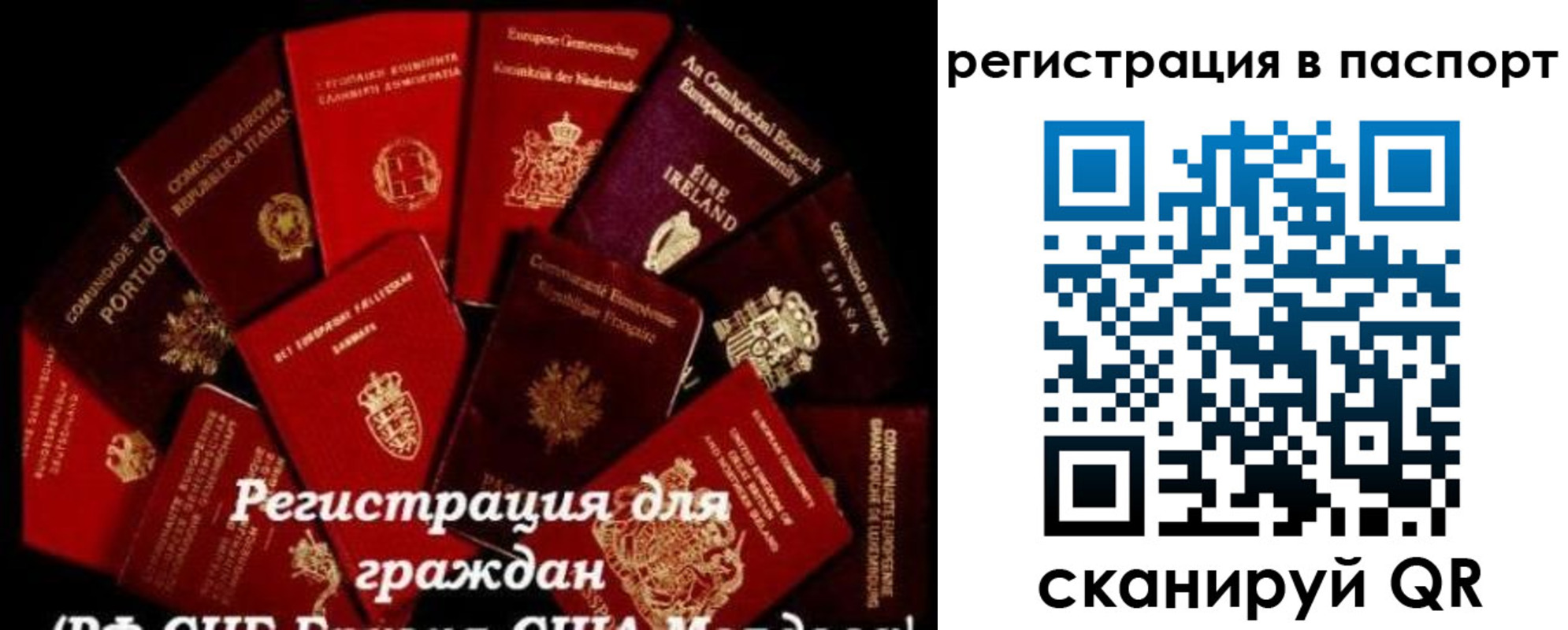 миграционный учет в Ленинградской области